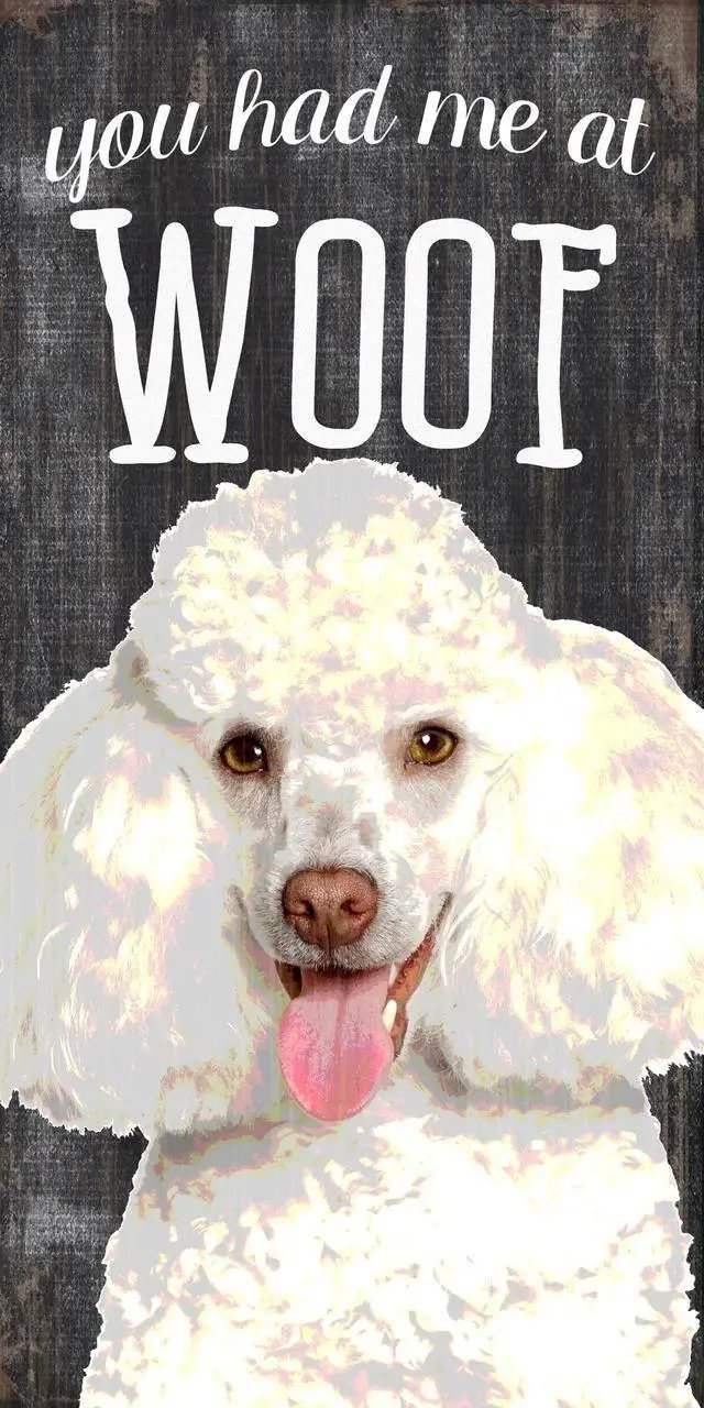 Wood Pet Sign You Had Me At Woof Poodle 5x10 Rope Hanger - ToylandEU™
