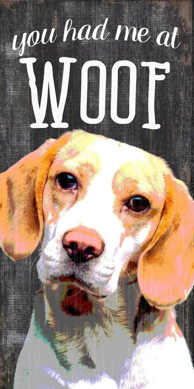 Pet Sign Wood You Had Me At Woof Beagle 5x10 Inch Sign - ToylandEU™