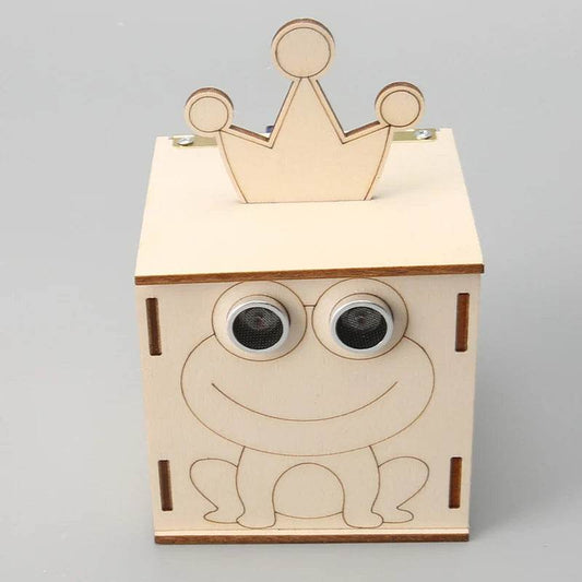 Wooden Induction Box Kids Science Toys DIY STEM Learning Kit Educational Fun Teaching Aids - ToylandEU