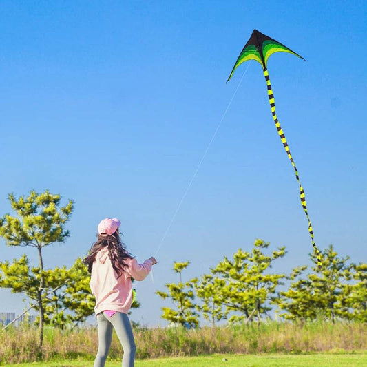 YongJian Large Delta Kite for Kids & Adults Easy to Fly - ToylandEU