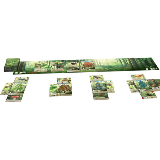 Forest Shuffle | Strategy Card Game
