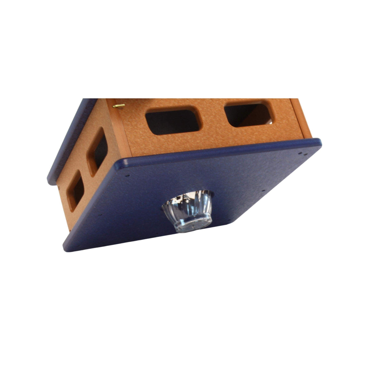 Bluebird Feeder | Hanging Mount | Starling Guard | For Backyards