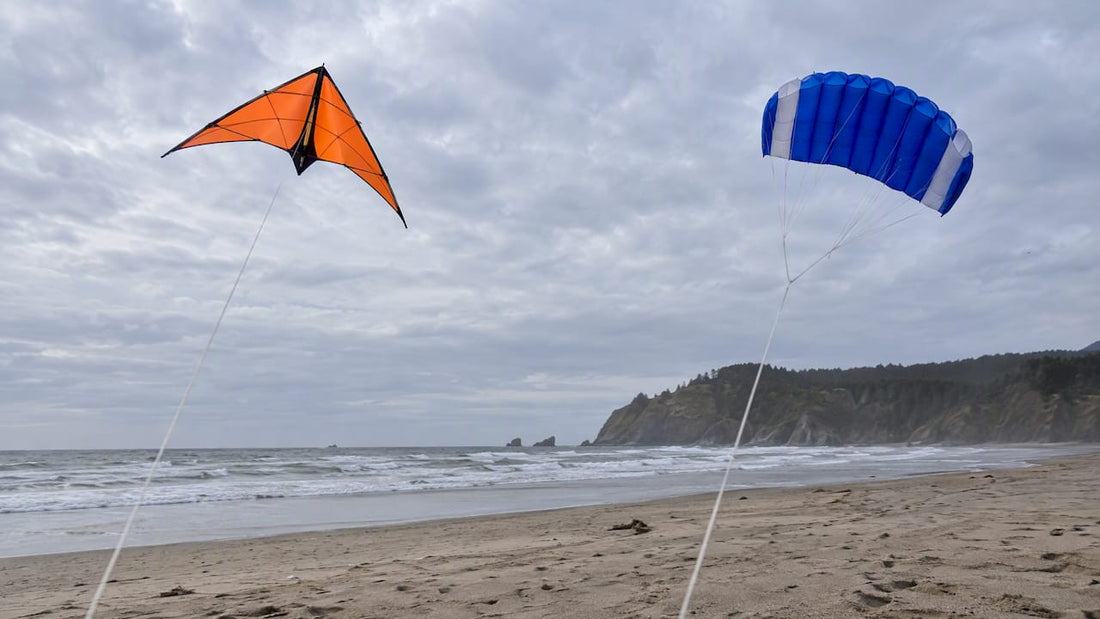 Delta and parafoil kites flying over a beach