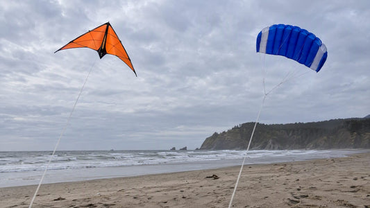 Delta and parafoil kites flying over a beach