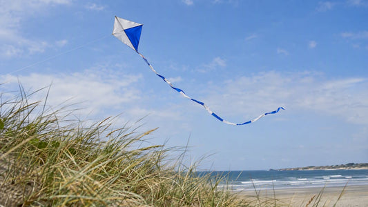 Kite with a fabric tail flying over dunes