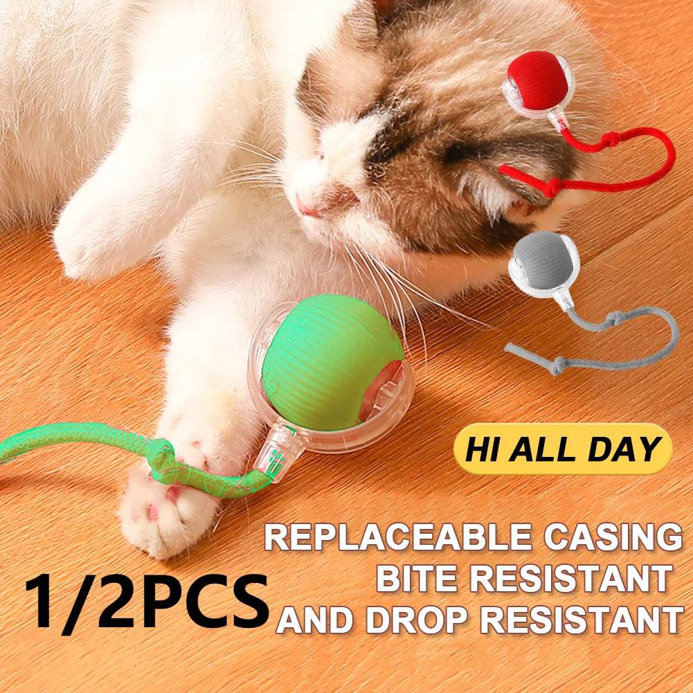 1/2PCS Cat Interactive Ball Toy Automatic Rolling Ball Rechargeable Pet Training Imitate Mouse - ToylandEU