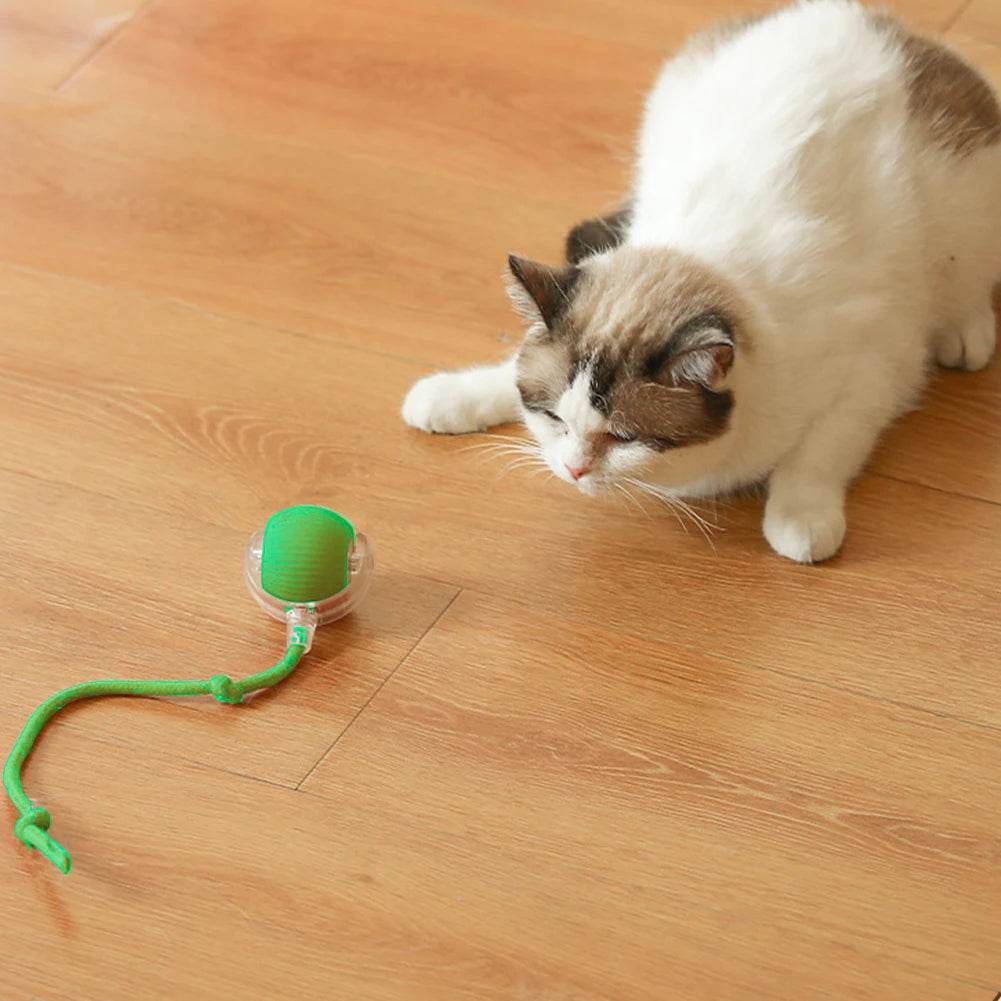 1/2PCS Cat Interactive Ball Toy Automatic Rolling Ball Rechargeable Pet Training Imitate Mouse - ToylandEU