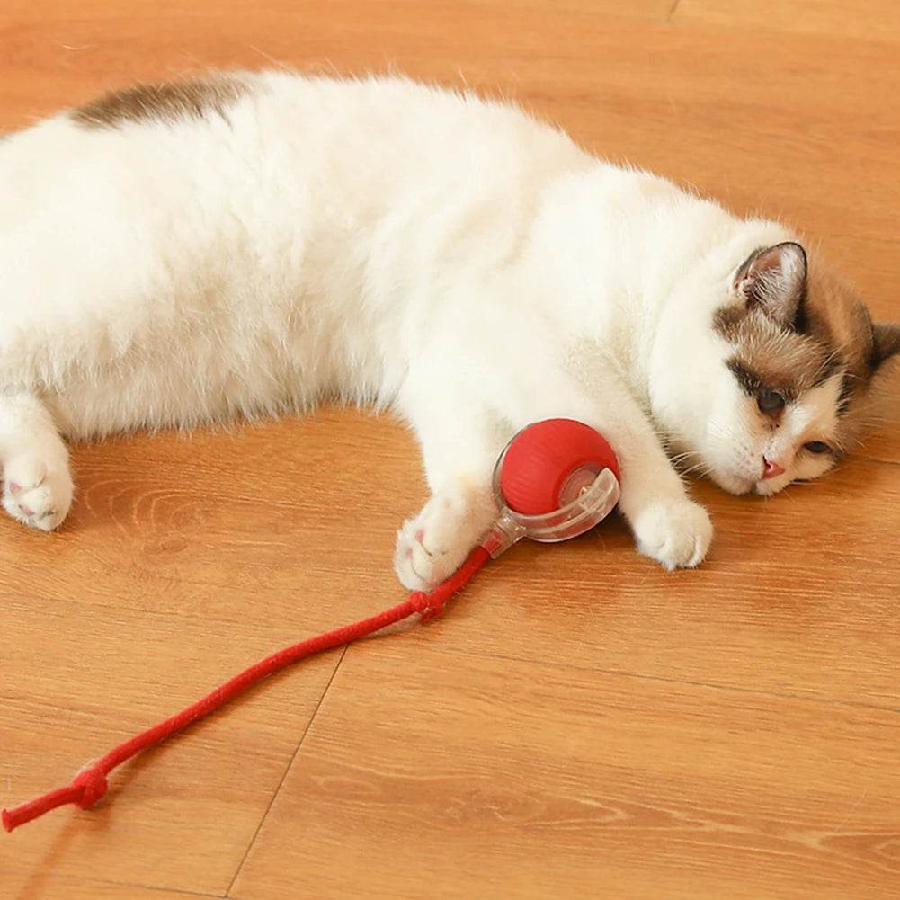 1/2PCS Cat Interactive Ball Toy Automatic Rolling Ball Rechargeable Pet Training Imitate Mouse - ToylandEU