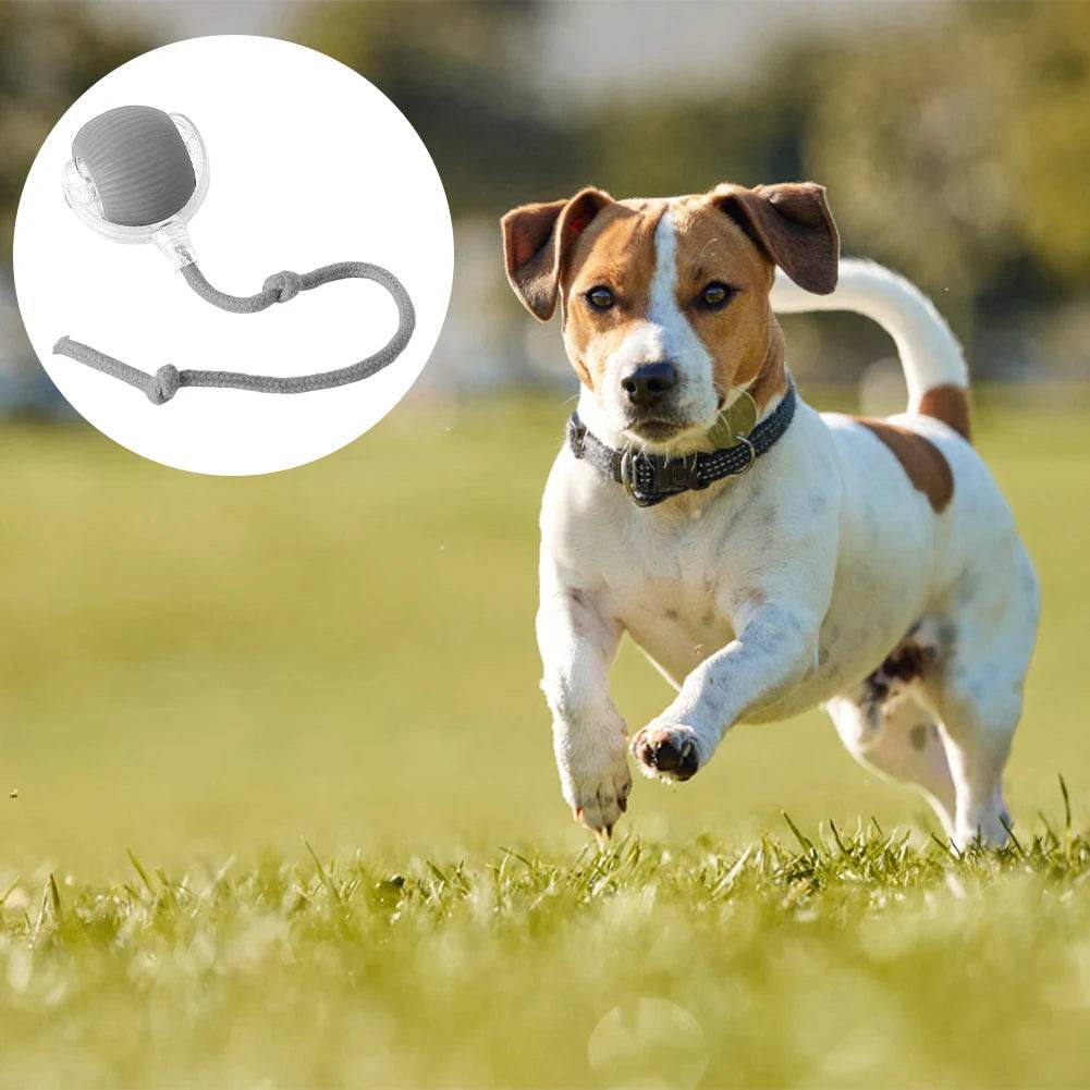 1/2PCS Cat Interactive Ball Toy Automatic Rolling Ball Rechargeable Pet Training Imitate Mouse - ToylandEU