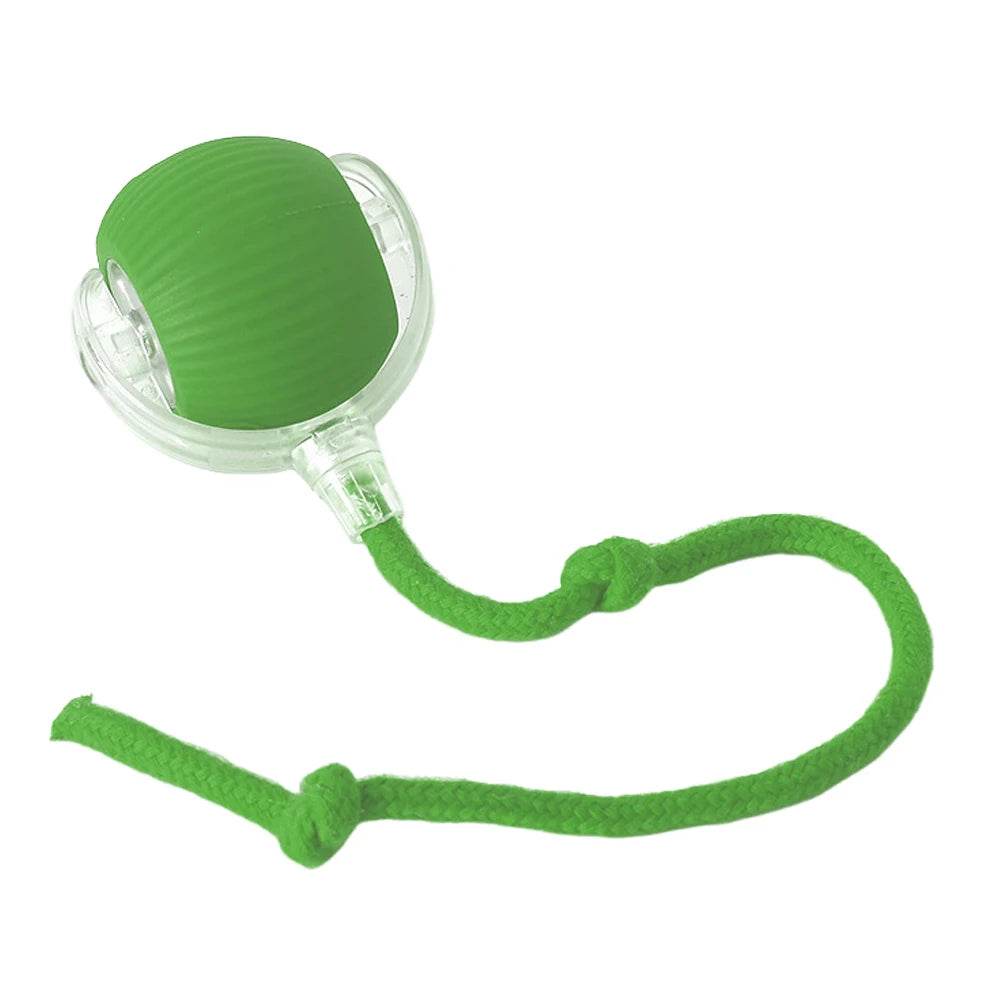 1/2PCS Cat Interactive Ball Toy Automatic Rolling Ball Rechargeable Pet Training Imitate Mouse - ToylandEU