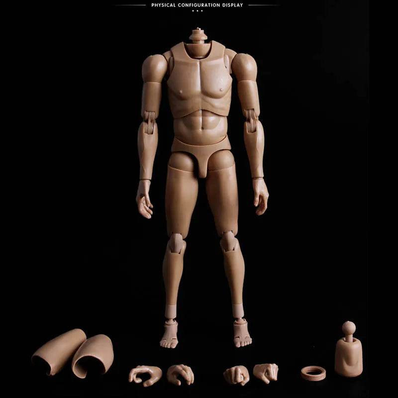 1/6 Scale MX02-A MX02-B Asian/Europe Skin Male Soldier Body Action Doll Toys - ToylandEU