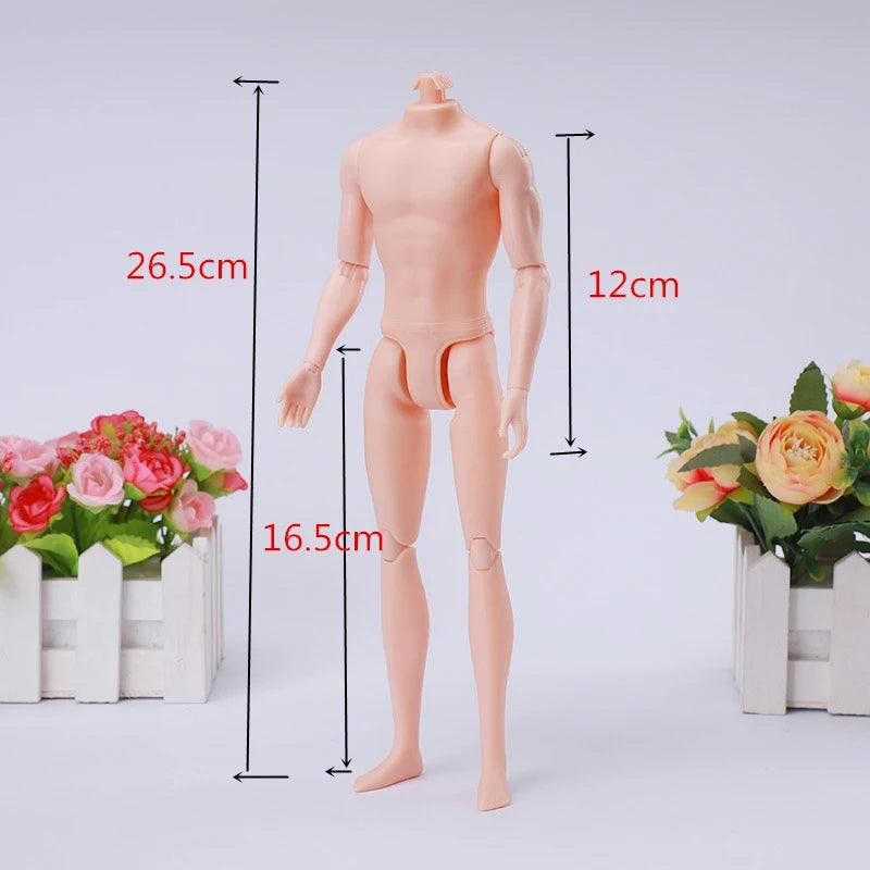 1/6 Scale Movable Doll | Multi-Jointed | Toylandeu™