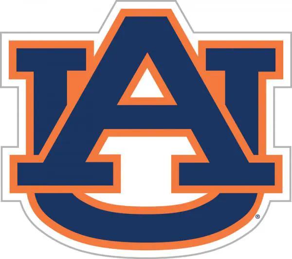 Auburn Tigers Magnet Car Style 12 Inch