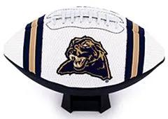 Pittsburgh Panthers Full Size Jersey Football CO