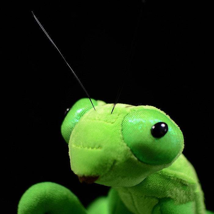 Lifelike Pink And Green Praying Mantis Plush | For Girls | Stuffed Animals