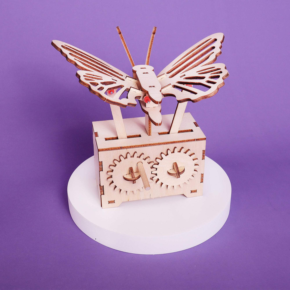 DIY STEM Engineering Kit | Butterfly Build Project | Gear Mechanism | Ages 8+