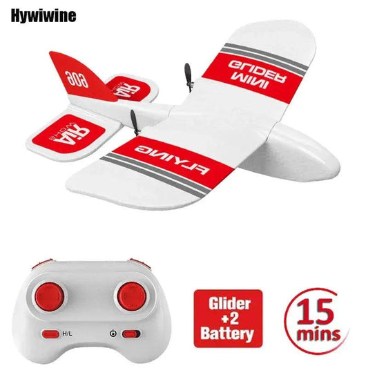  2.4G RC Plane Mini Foam Glider For Kids Indoor Fun -  ToylandEU™