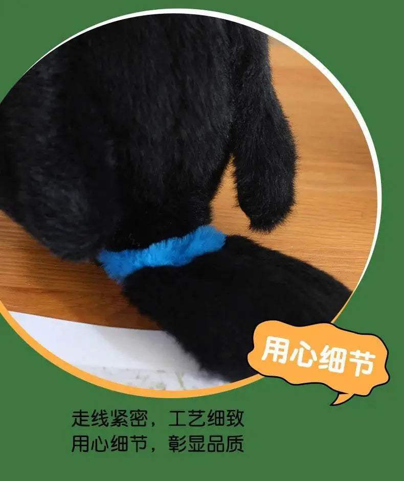 20/30/40CM Simulation Toco Toucan Plush Toys Cute Ramphastos Toco Stuffed Bird Doll for Home Decoration Gifts - ToylandEU