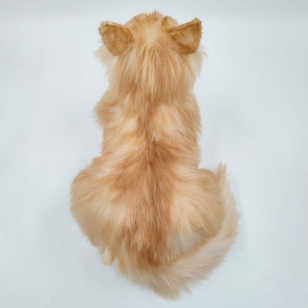 Realistic Cat Plush | Life Size Weighted | Handmade Orange