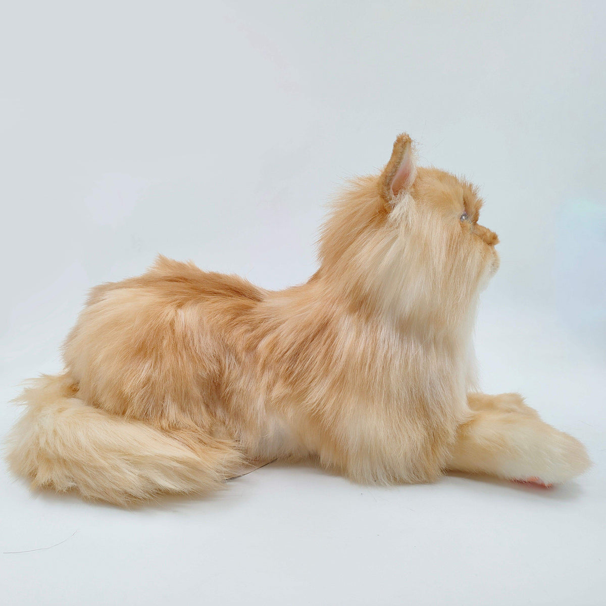 Realistic Cat Plush | Life Size Weighted | Handmade Orange
