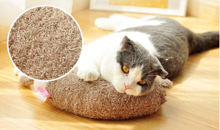 Plush Cat Pillow Toy | Teaser Stick