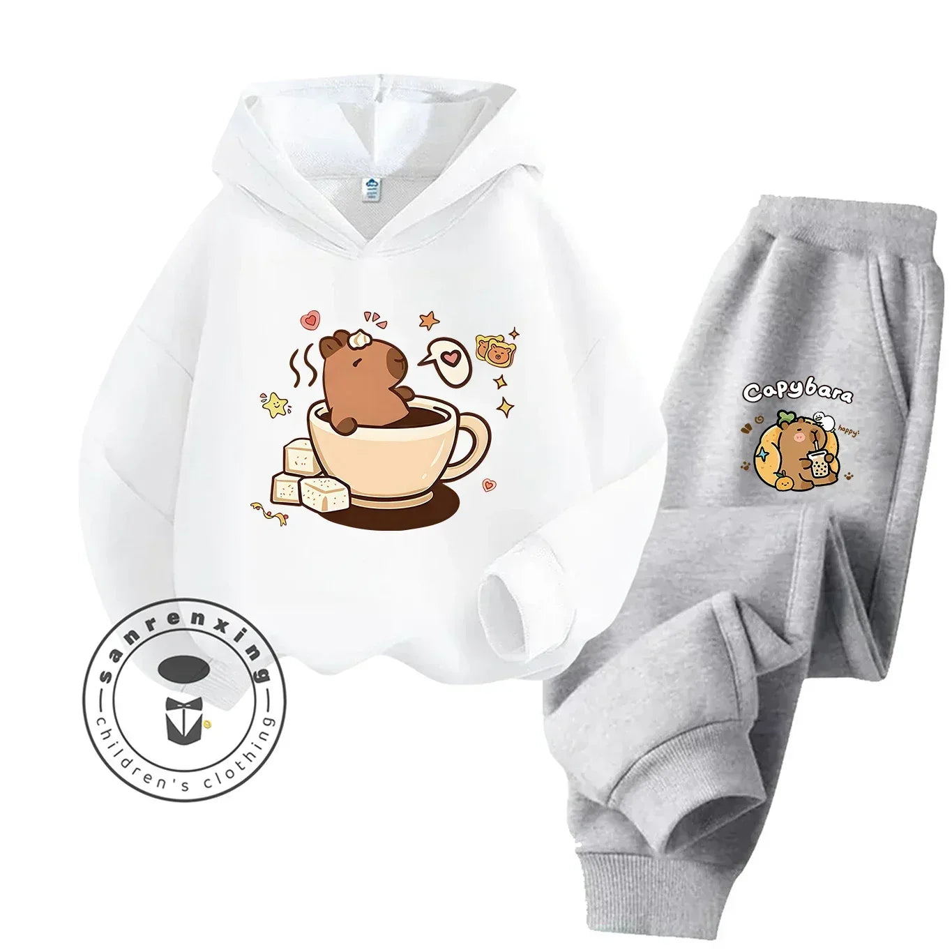 2D Capybara Hoodie Set 2025 New Print Cartoon Fashion Casual Kids Teens Boys Girls Hot Sale Autumn Winter - ToylandEU