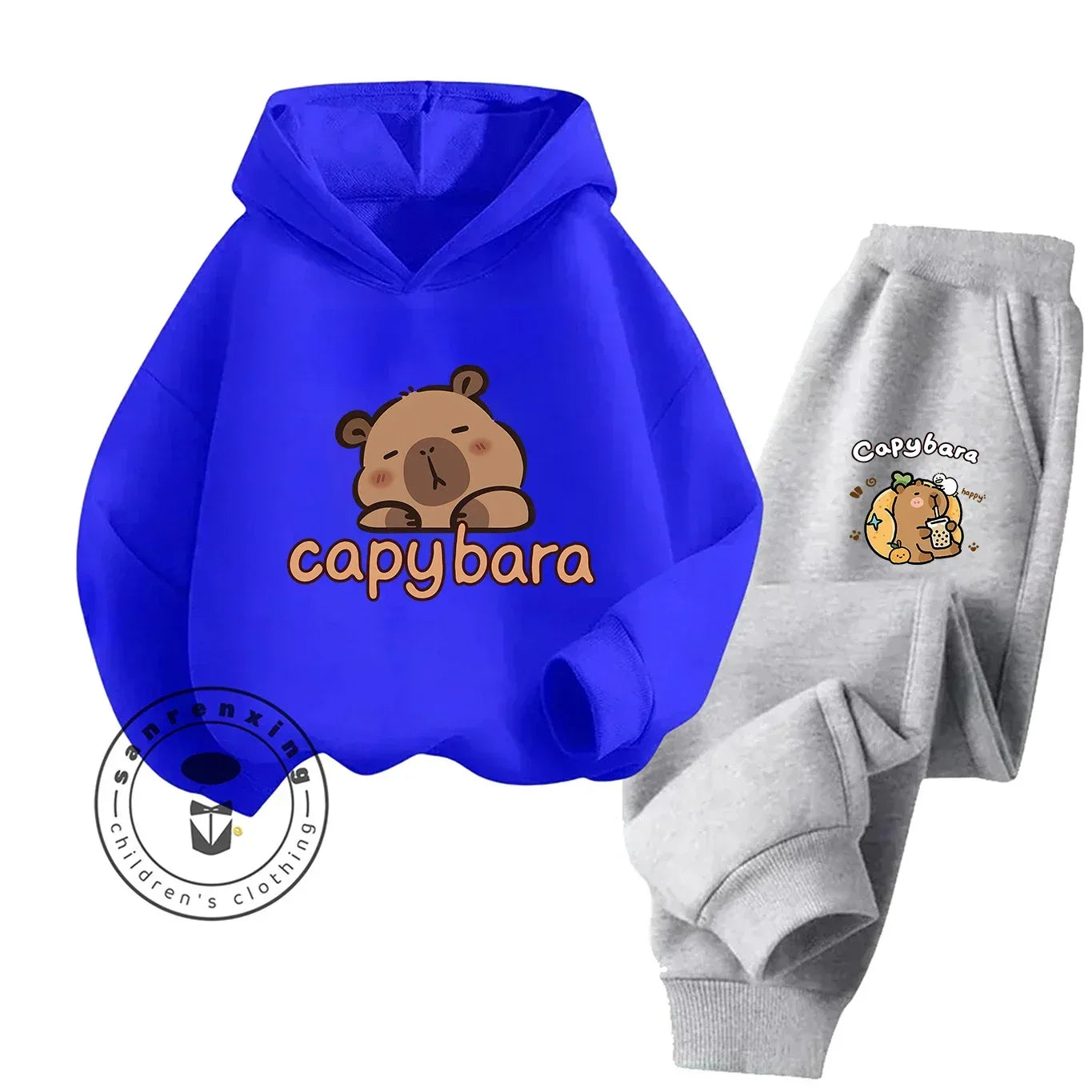 2D Capybara Hoodie Set 2025 New Print Cartoon Fashion Casual Kids Teens Boys Girls Hot Sale Autumn Winter - ToylandEU