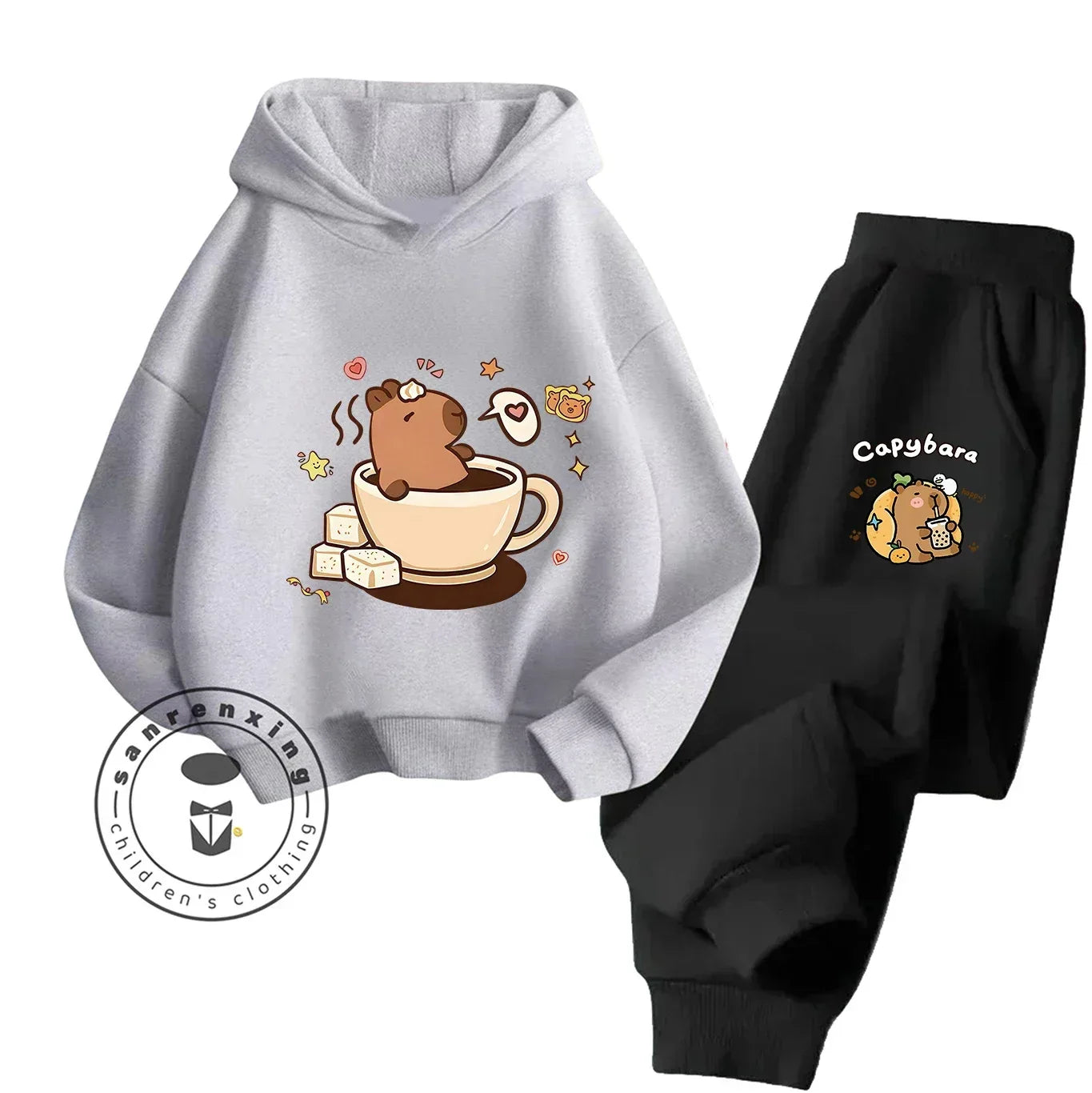 2D Capybara Hoodie Set 2025 New Print Cartoon Fashion Casual Kids Teens Boys Girls Hot Sale Autumn Winter - ToylandEU