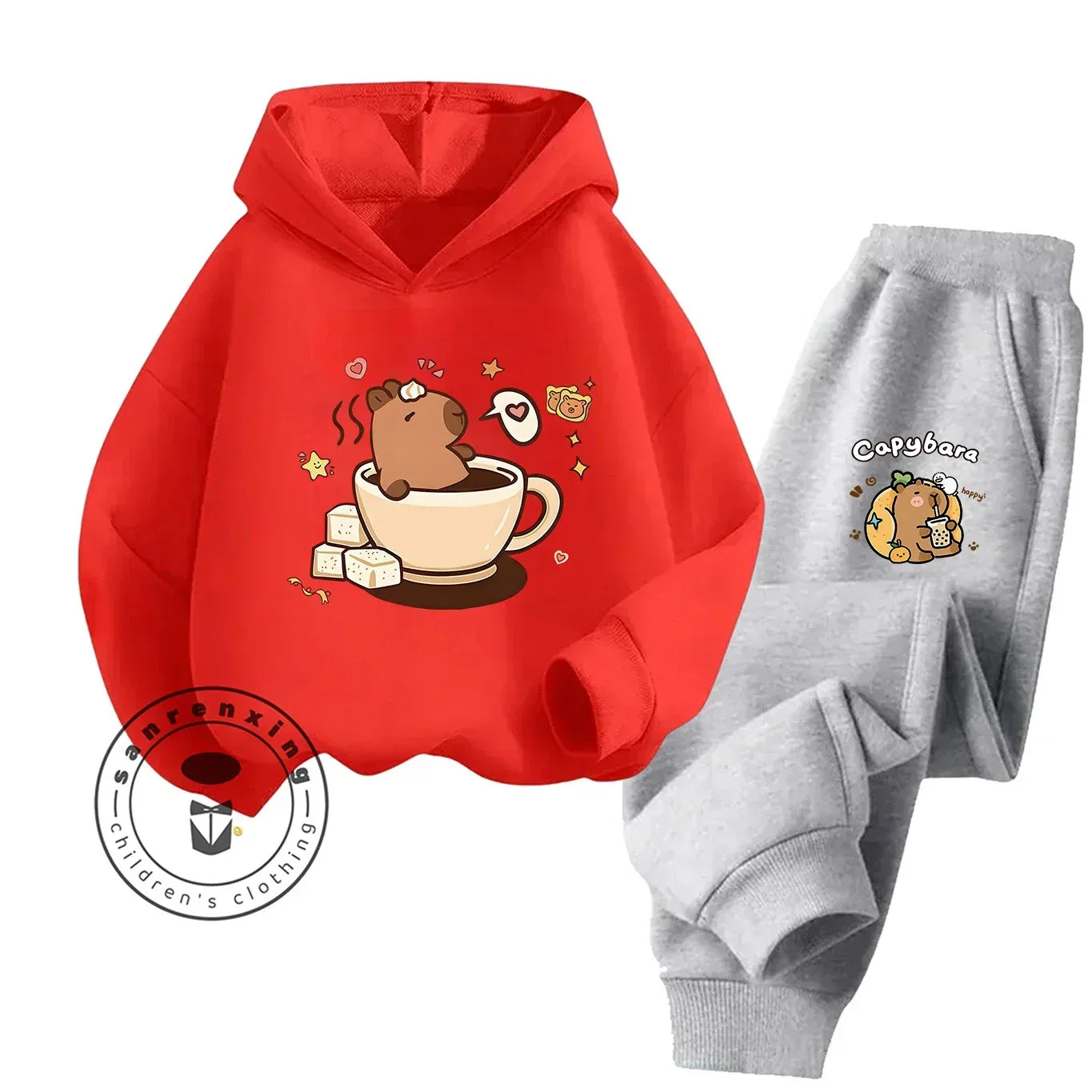 2D Capybara Hoodie Set 2025 New Print Cartoon Fashion Casual Kids Teens Boys Girls Hot Sale Autumn Winter - ToylandEU
