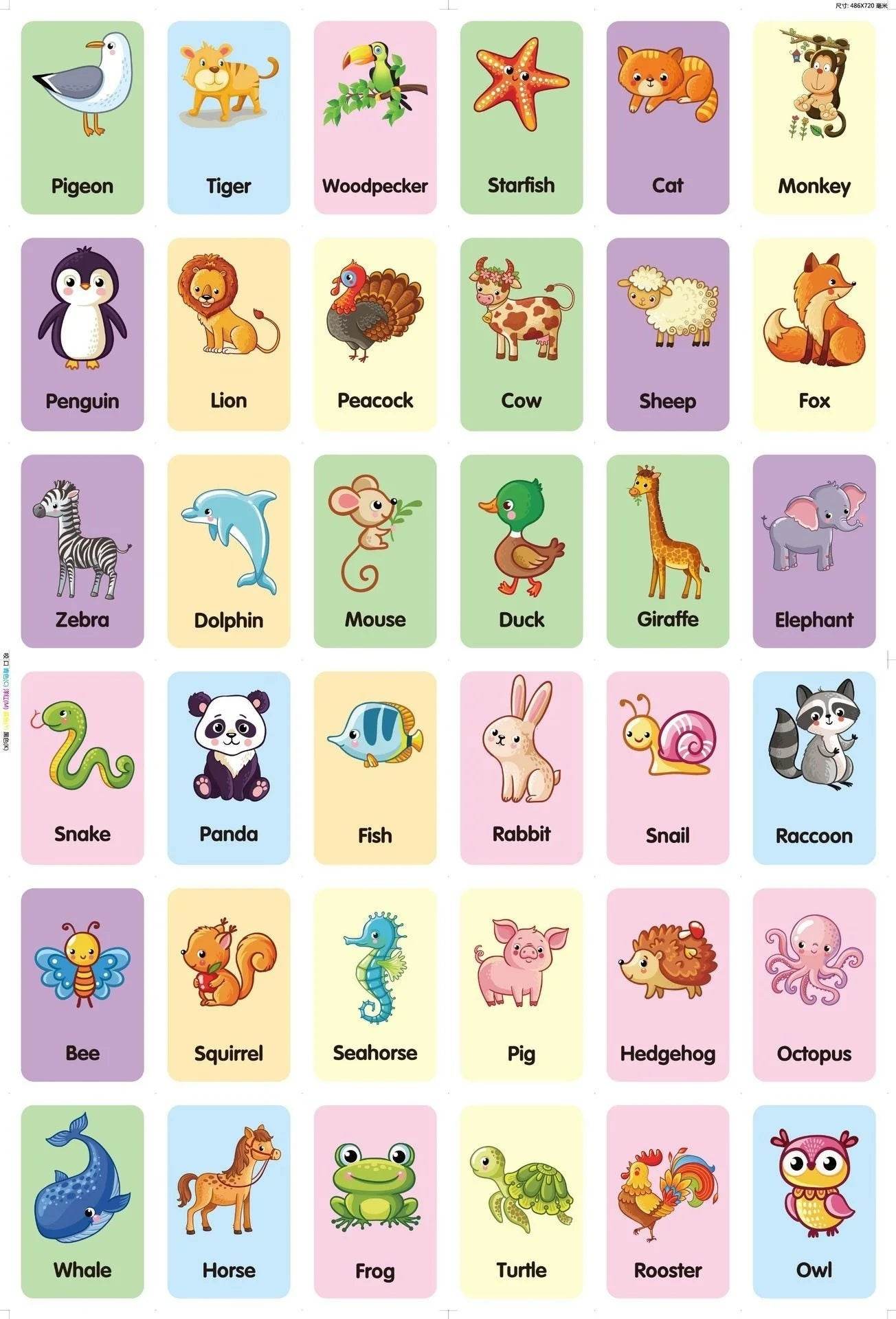 36Pcs Kids Cognition Card Shape Animal Color Teaching Baby English Learning Word Card Education Montessori Toys - ToylandEU