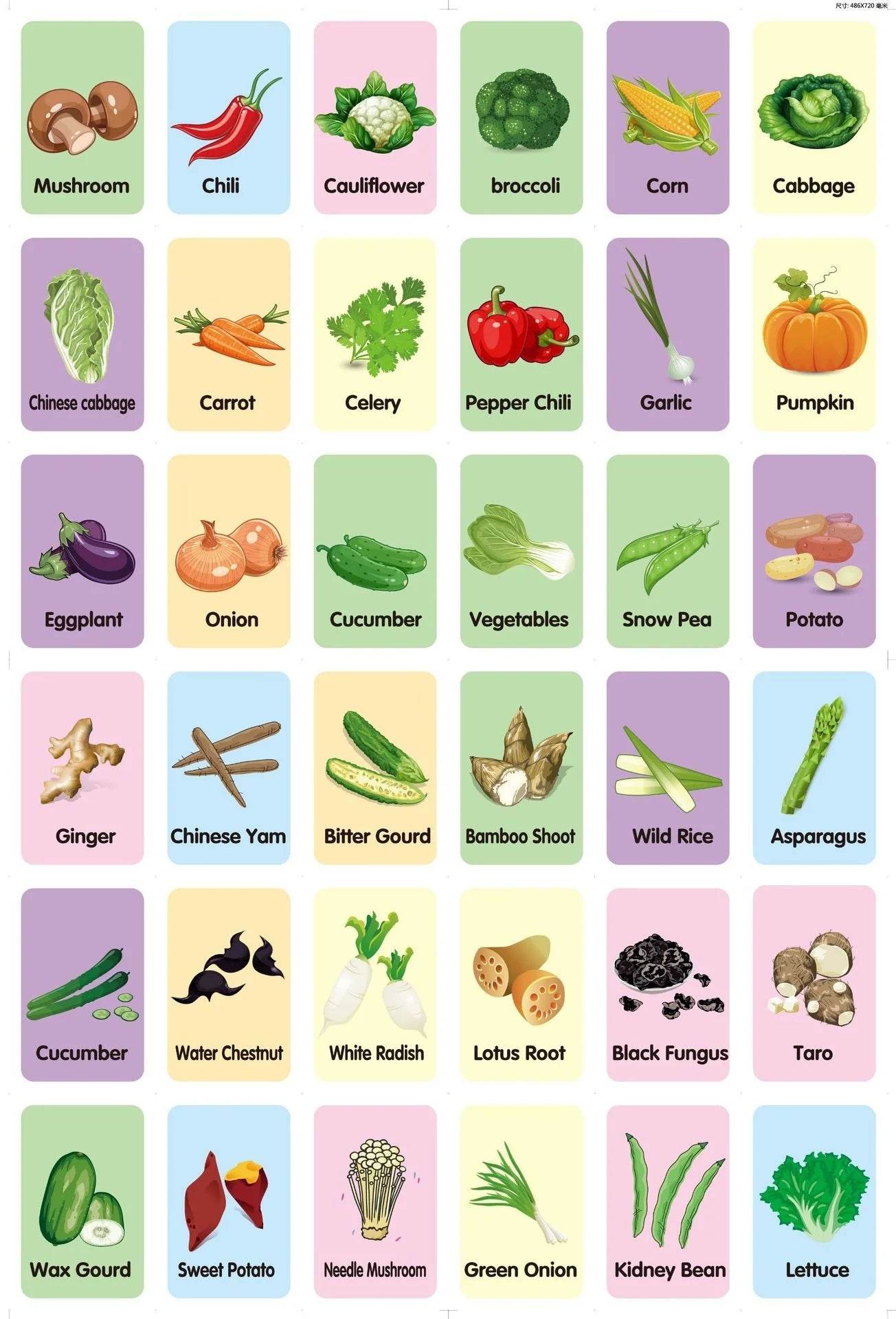 36Pcs Kids Cognition Card Shape Animal Color Teaching Baby English Learning Word Card Education Montessori Toys - ToylandEU