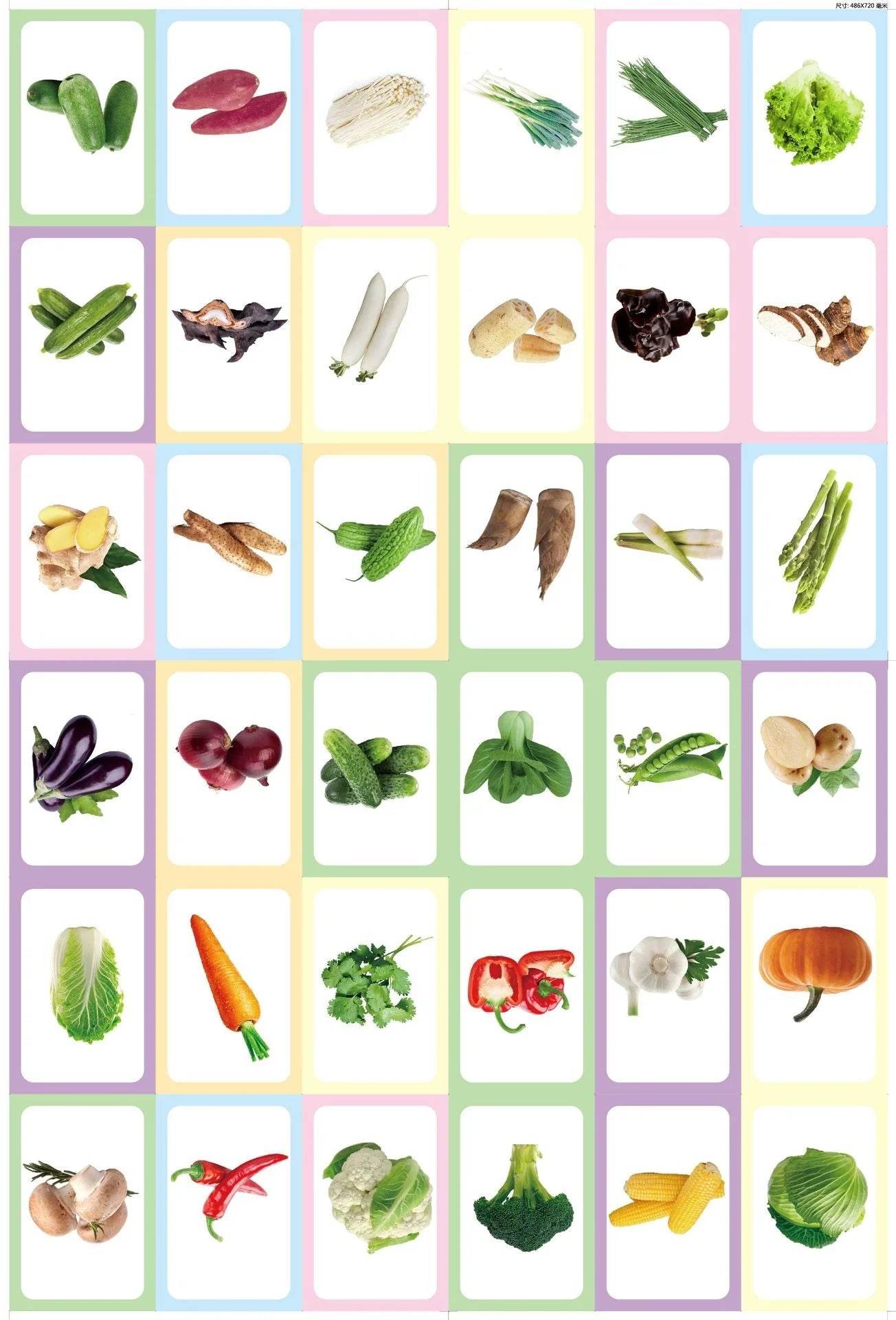 36Pcs Kids Cognition Card Shape Animal Color Teaching Baby English Learning Word Card Education Montessori Toys - ToylandEU