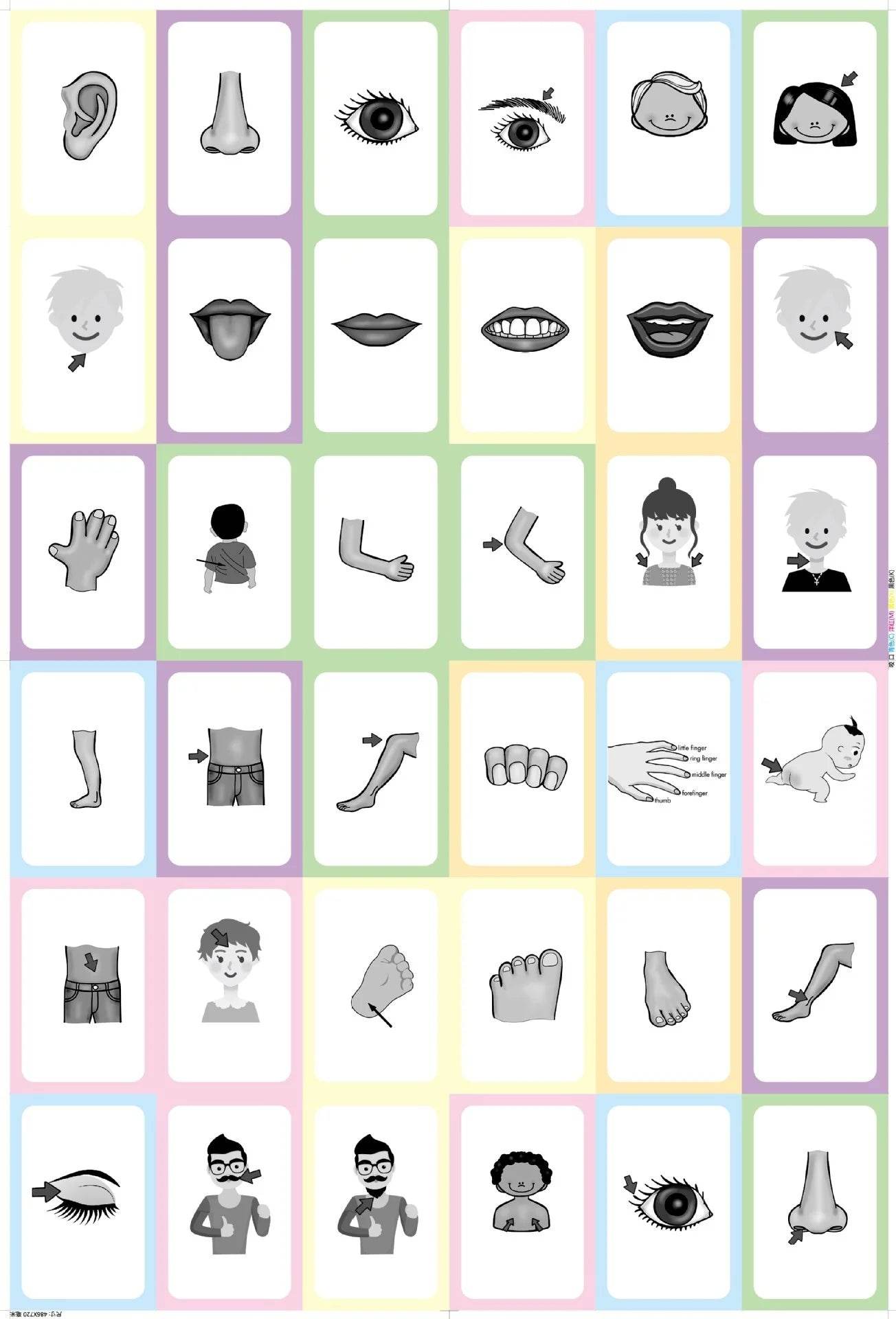 36Pcs Kids Cognition Card Shape Animal Color Teaching Baby English Learning Word Card Education Montessori Toys - ToylandEU