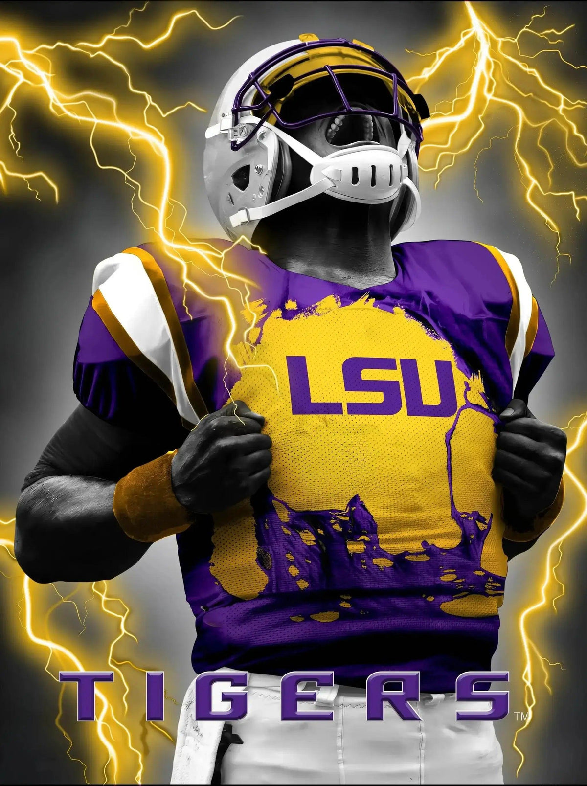 LSU Tigers 3D Lenticular Art Print 12x16 Super Player -  ToylandEU™