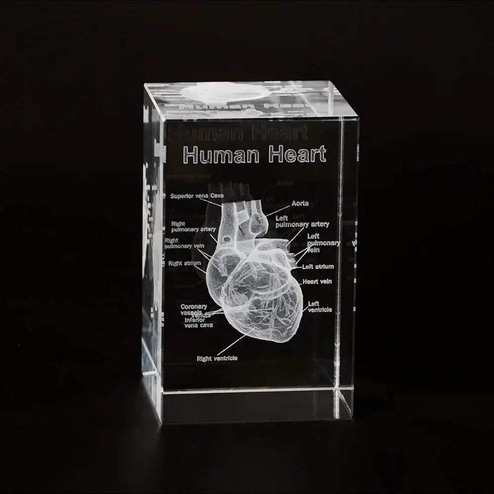3D Crystal Heart Model Cube For Cardiology Gifts Display - ToylandEU