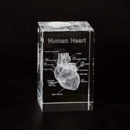 3D Crystal Heart Model Cube For Cardiology Gifts Display - ToylandEU