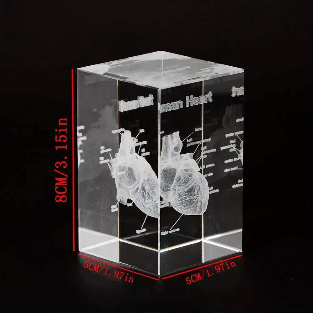 3D Crystal Heart Model Cube For Cardiology Gifts Display - ToylandEU