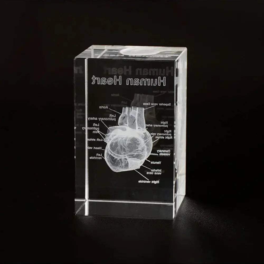 3D Crystal Heart Model Cube For Cardiology Gifts Display - ToylandEU