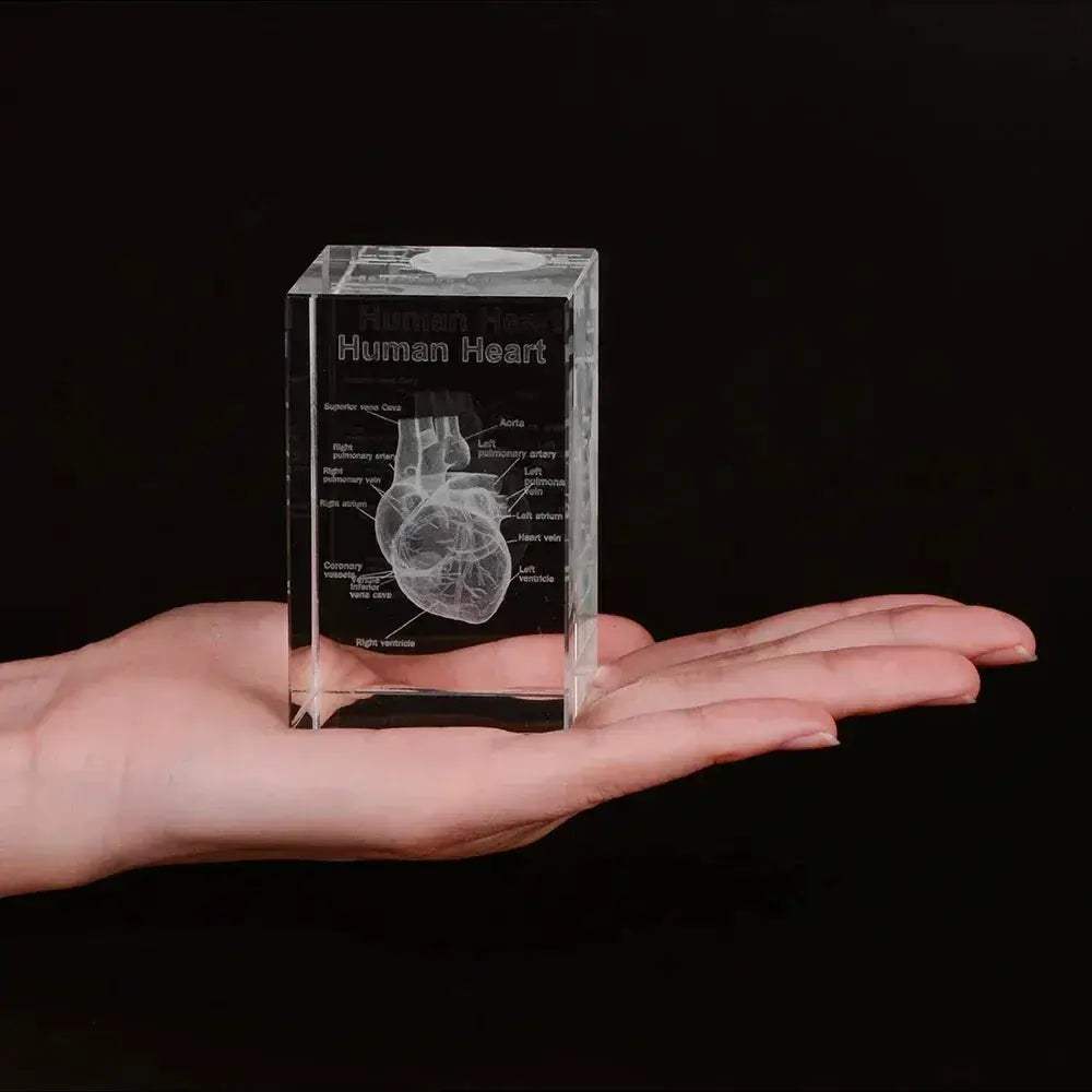 3D Crystal Heart Model Cube For Cardiology Gifts Display - ToylandEU