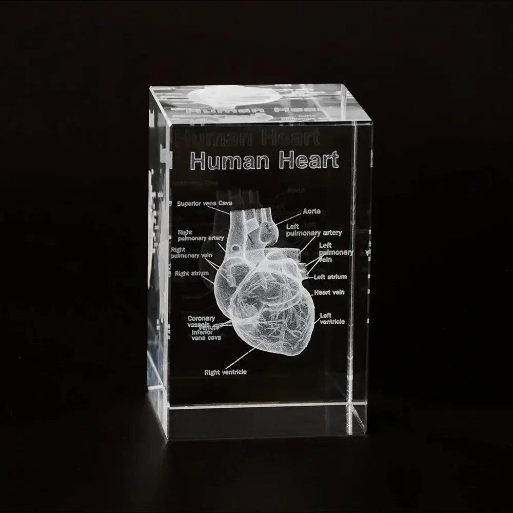  3D Crystal Heart Model Cube For Cardiology Gifts Glass -  ToylandEU™