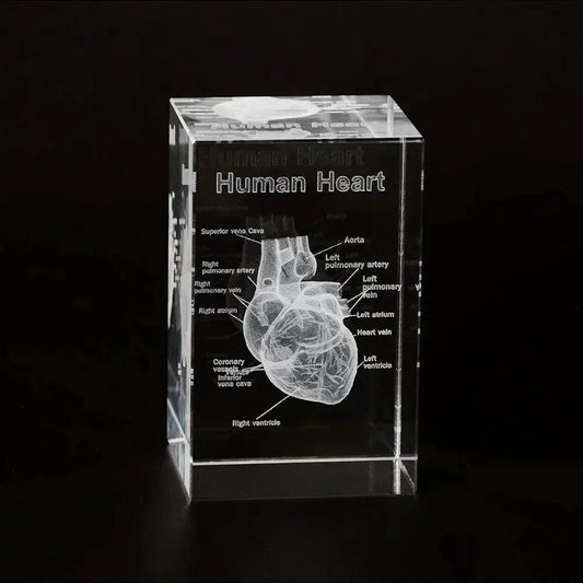  3D Crystal Heart Model Cube For Cardiology Gifts Glass -  ToylandEU™