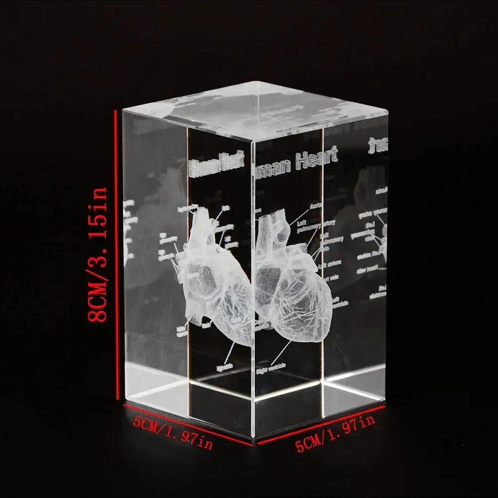  3D Crystal Heart Model Cube For Cardiology Gifts Glass -  ToylandEU™