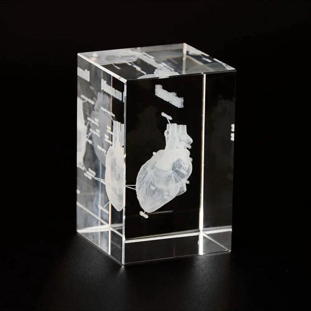  3D Crystal Heart Model Cube For Cardiology Gifts Glass -  ToylandEU™