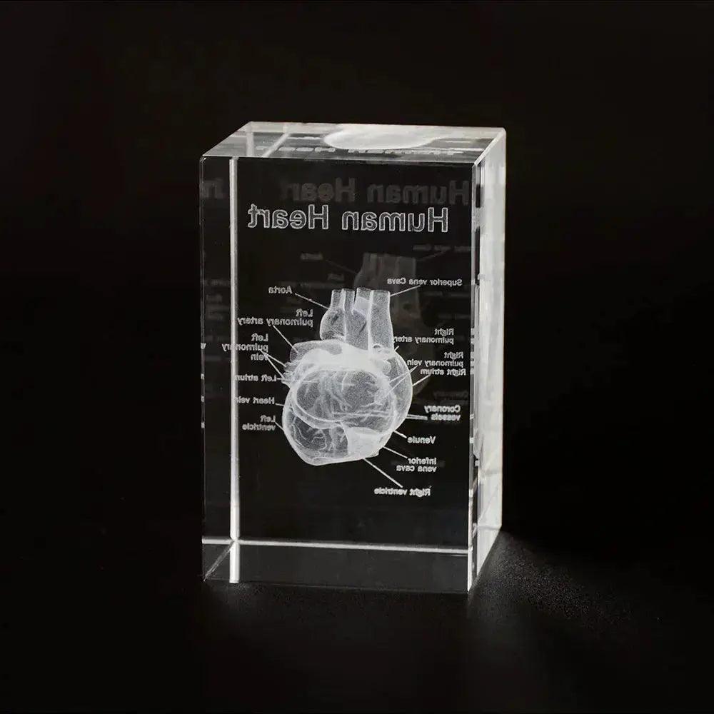  3D Crystal Heart Model Cube For Cardiology Gifts Glass -  ToylandEU™