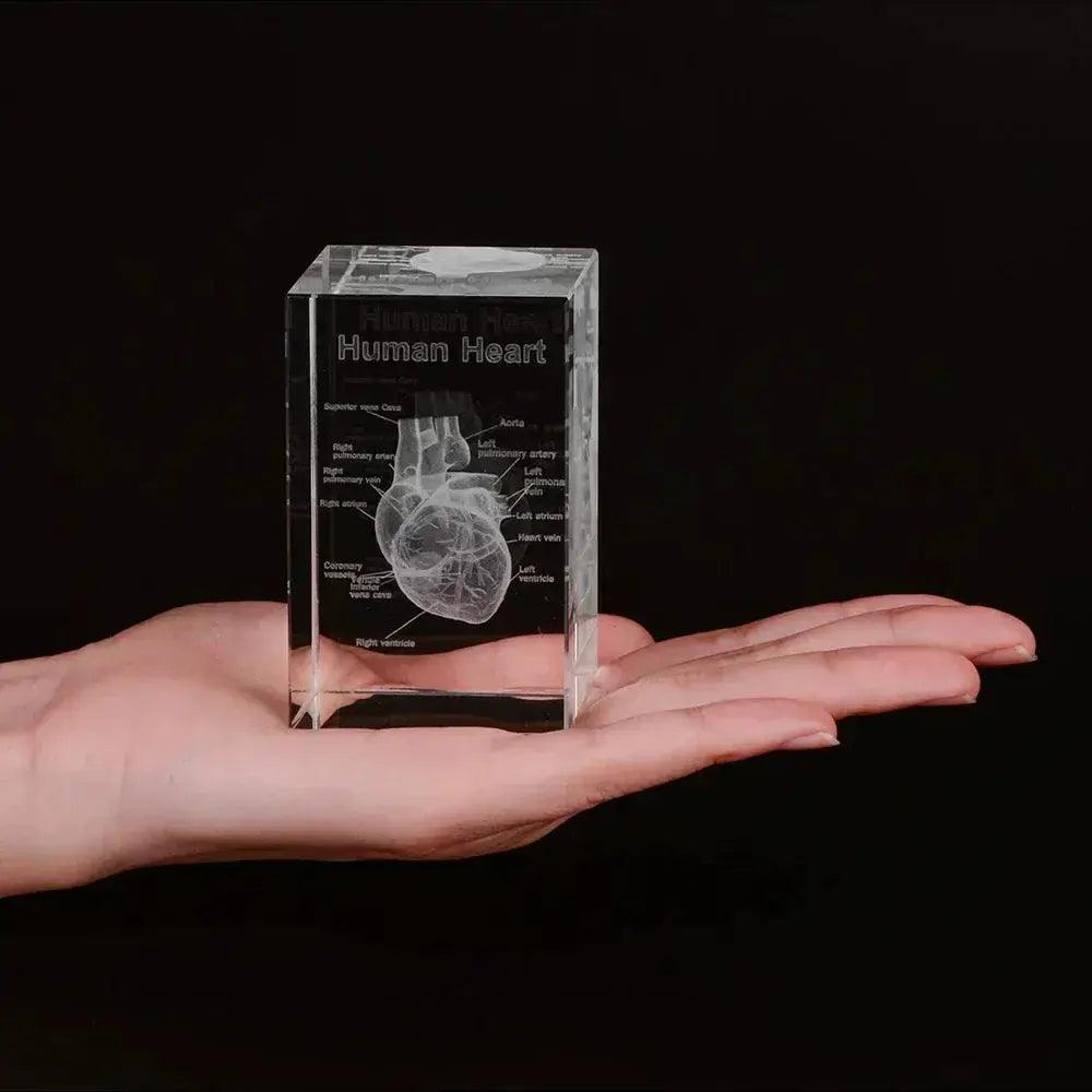  3D Crystal Heart Model Cube For Cardiology Gifts Glass -  ToylandEU™