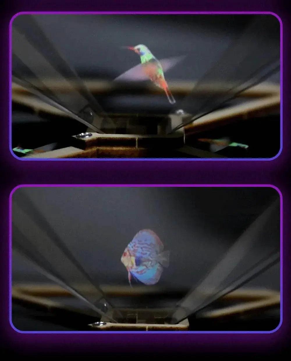  3D Holographic Pro Jection DIY Models Building Toy Science Education Model Toy For Children Gift -  ToylandEU™