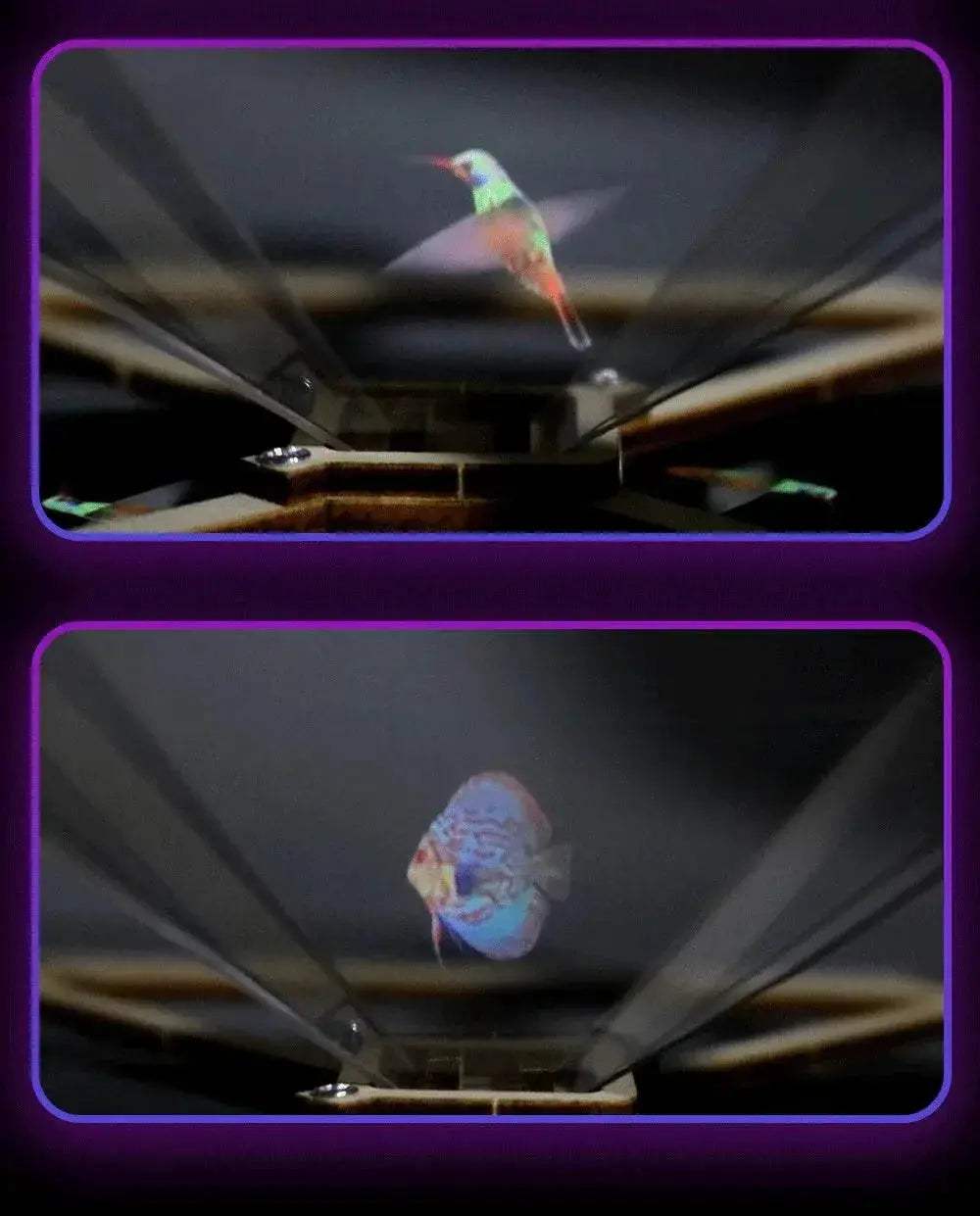 3D Holographic Pro Jection DIY Models Building Toy Science Education Model Toy For Children Gift - ToylandEU