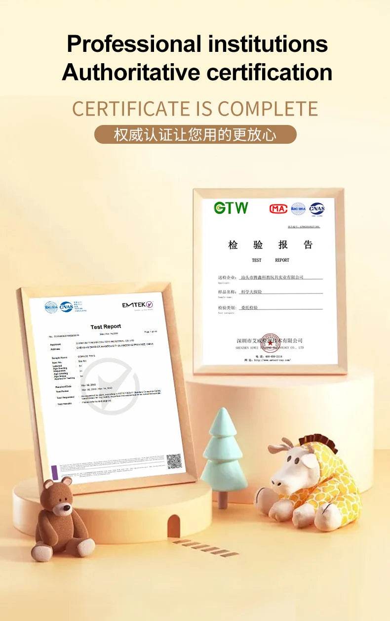 3D Human Body Torso Model for Kid Anatomy Skeleton Removable Simulation Organ - ToylandEU