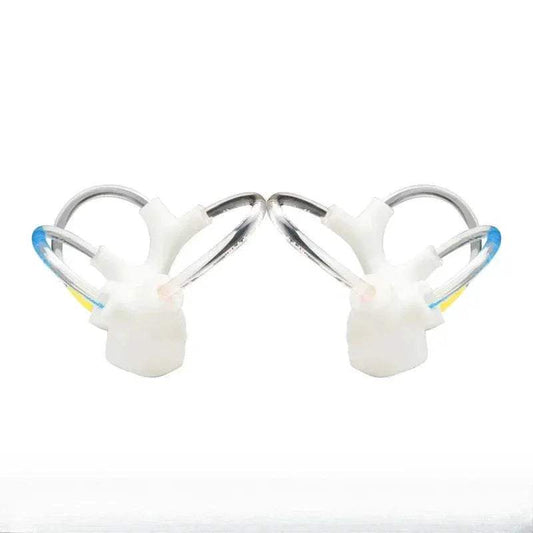 3D Inner Ear Anatomy Model For Vestibular Rehab And Education - ToylandEU