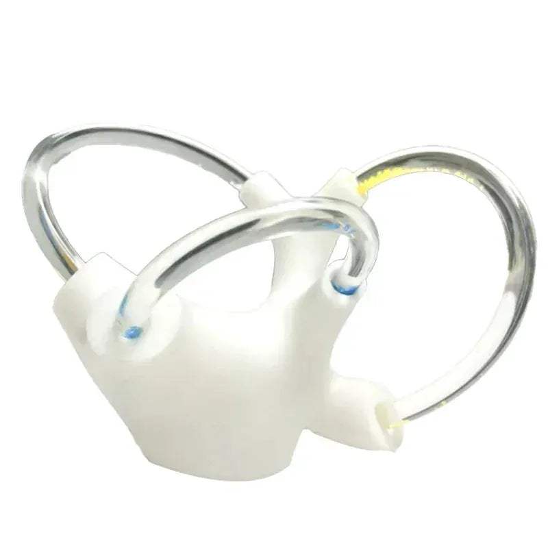 3D Inner Ear Anatomy Model For Vestibular Rehab And Education - ToylandEU